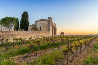 Chapelle Saint-Julien de Montredon - Chapelle à côté des vignes. © Alexandre Mazzocco
