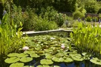 La Bambouseraie - Jardin des bassins Eug&egrave;ne &copy;Jean du Boisberranger