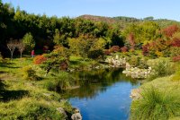 La Bambouseraie - Le Vallon du Dragon ©Jean du Boisberranger