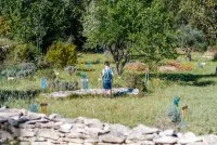 Arboretum - Sentier d'interpr&eacute;tation Garrigue Gourmande_Cong&eacute;nies - Enfant dans l'arboretum &copy; Alexandre Mazzocco
