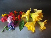 Restaurant - Fleurs multicolores © Sous le Chêne
