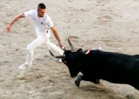 Animations taurines - Course camarguaise