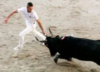 Animations taurines - Course camarguaise