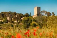 Les Ch&acirc;teaux du Pays de Sommi&egrave;res