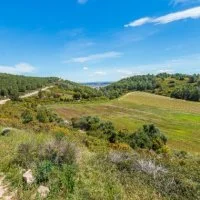 Chemin des laines - Calvisson