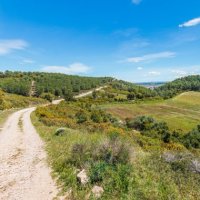 Chemin des laines - Calvisson