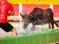 Toro-piscine mousse