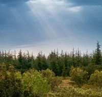 Garrigue Nature et for&ecirc;t &agrave; Cong&eacute;nies