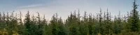 Garrigue Nature et for&ecirc;t &agrave; Cong&eacute;nies