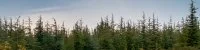Garrigue Nature et for&ecirc;t &agrave; Cong&eacute;nies