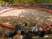 Ar&egrave;nes de Sommi&egrave;res