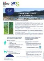 Cyanobactéries en plan d'eau - Précautions à prendre
