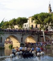 La Gaze de taureaux à Sommières