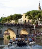 La Gaze de taureaux &agrave; Sommi&egrave;res