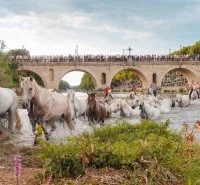 Gases de chevaux &agrave; Sommi&egrave;res