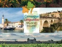 Vignobles et vins - guide num&eacute;rique V&D