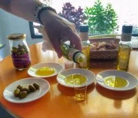 Visite du Moulin de Villevieille - D&eacute;gustation olives