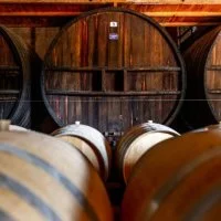Mas Granier Mas Montel - Caves et domaines viticoles