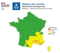 Dans la for&ecirc;t - M&eacute;t&eacute;o des For&ecirc;ts