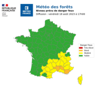 Dans la forêt - Météo des Forêts