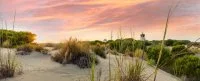 Plage L'espiguette - Grau du Roi