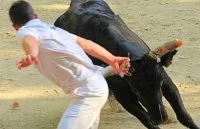 Course Camarguaise