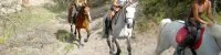 rando &agrave; cheval