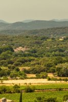 Villevieille - Rando Les Olivettes