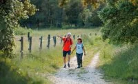 Garrigue - Balade sur les sentiers