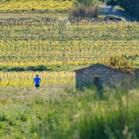 Trail - Footing campagne