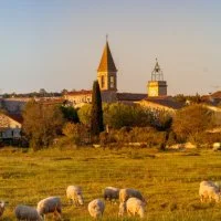 Vue sur le village - Salinelles