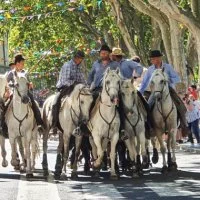 F&ecirc;te votive - Abrivado