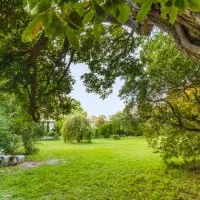 Jardin de l'Aube - Villevieille