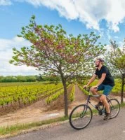 Boucle Cyclo-D&eacute;couverte - Les Olivettes